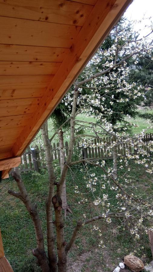 Pokoje U Adama Grajoka Szczawnica Bagian luar foto