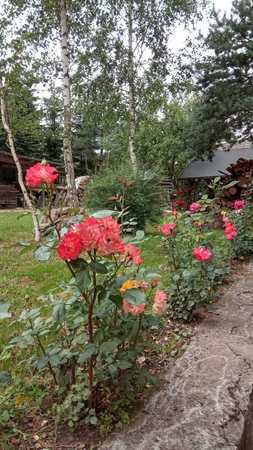 Pokoje U Adama Grajoka Szczawnica Bagian luar foto
