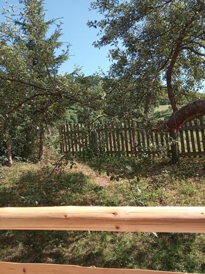 Pokoje U Adama Grajoka Szczawnica Bagian luar foto